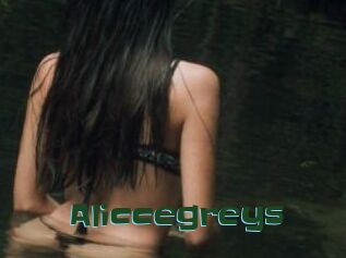 Aliccegreys