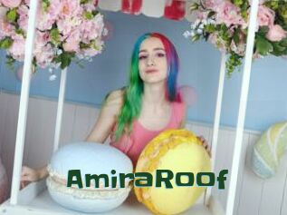 AmiraRoof