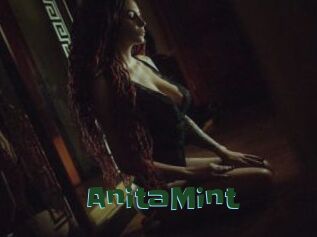 AnitaMint