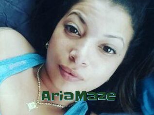 Aria_Maze