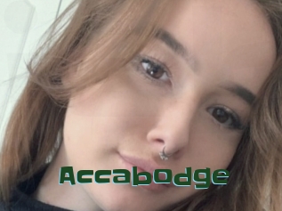 Accabodge