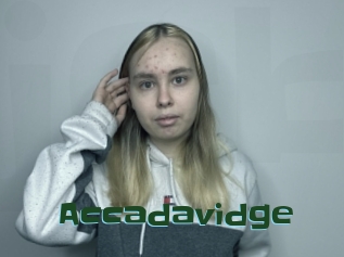 Accadavidge