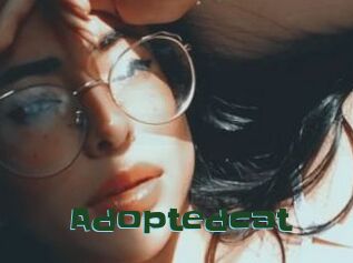 Adoptedcat