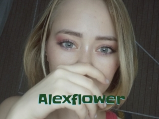 Alexflower