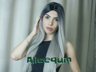 Alicequin