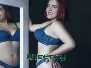 Alicerey