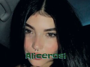 Alicerosi