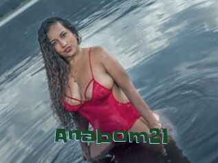 Anabom21