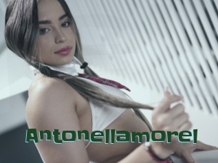 Antonellamorel