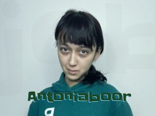 Antoniaboor