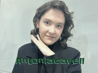 Antoniacavell