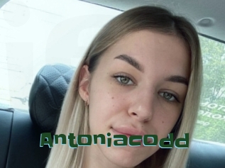 Antoniacodd