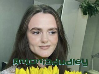 Antoniadudley