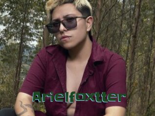 Arielfoxtter