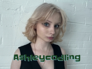 Ashleycodling