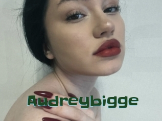 Audreybigge