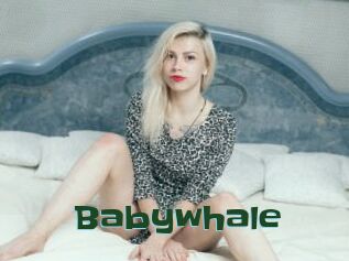 Babywhale