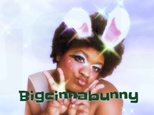 Bigcinnabunny