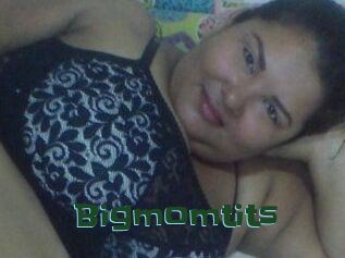 Bigmomtits