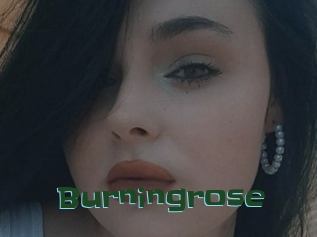 Burningrose