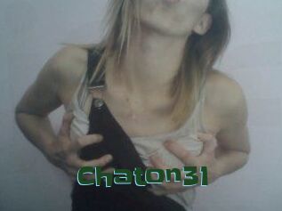 Chaton31