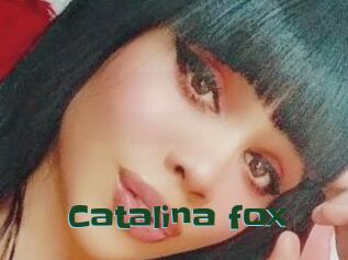 Catalina_fox