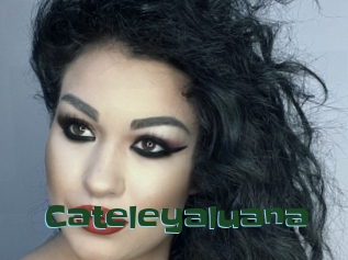 Cateleyaluana