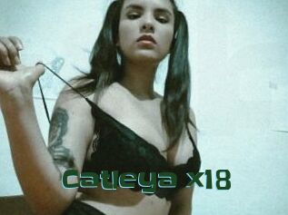 catleya_x18 Jeune baise