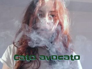 Cato_avocato