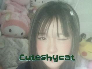 Cuteshycat