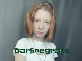 Darlinegrass