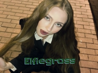 Elfiegross