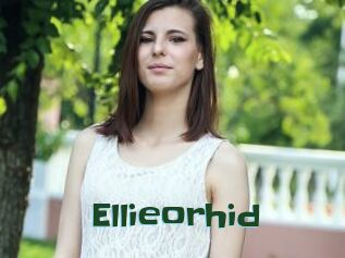 Ellieorhid