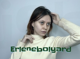Erlenebolyard
