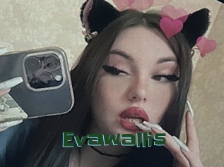 Evawallis