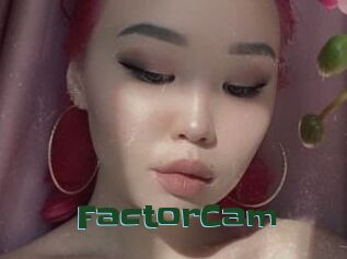 FactorCam