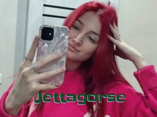 Jettagorse