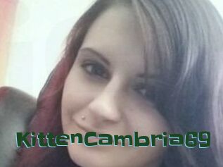 KittenCambria69