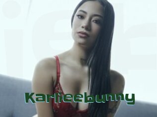 Karlieebunny