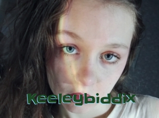 Keeleybiddix