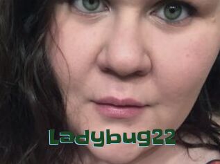 Ladybug22