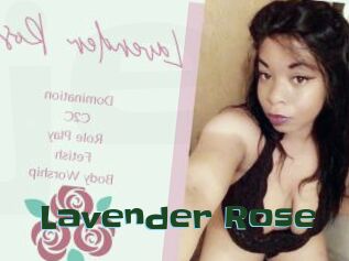 Lavender_Rose