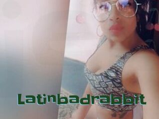 Latinbadrabbit