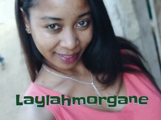 Laylahmorgane