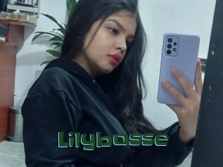 Lilybosse