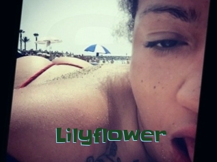 Lilyflower