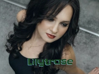 Lilytrose