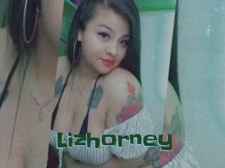 Lizhorney