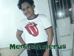 Meninafullerus