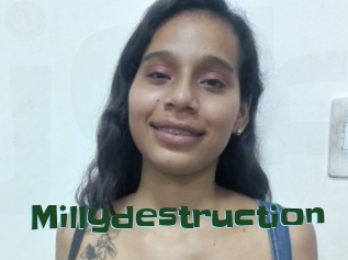 Millydestruction